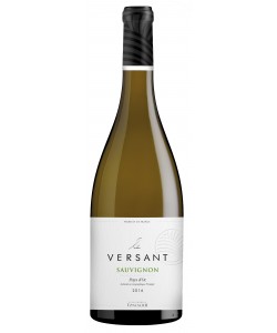 Versant Sauvignon Foncalieu